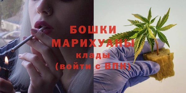 круглые Ельня