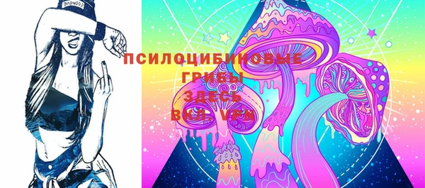 ГАЛЛЮЦИНОГЕННЫЕ ГРИБЫ Елабуга