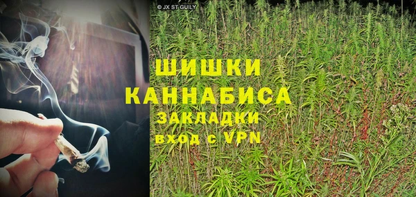 ПСИЛОЦИБИНОВЫЕ ГРИБЫ Калининец