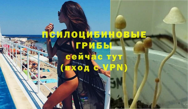 ГАЛЛЮЦИНОГЕННЫЕ ГРИБЫ Елабуга