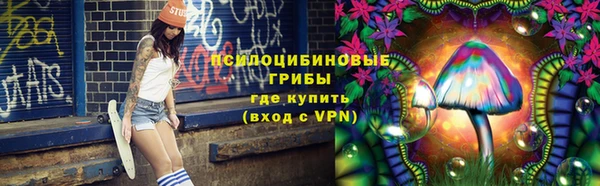ПСИЛОЦИБИНОВЫЕ ГРИБЫ Калининец
