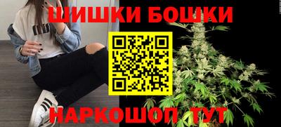 МДПВ Партизанск
