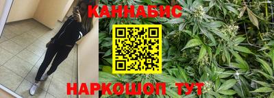 МДПВ Партизанск