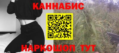 МДПВ Партизанск