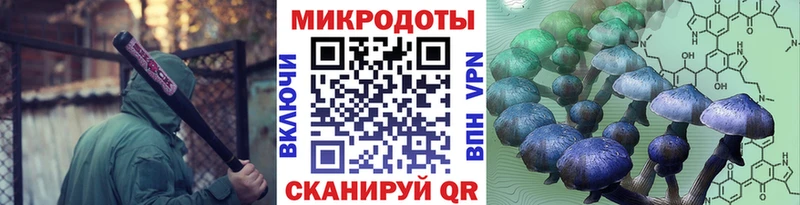 Галлюциногенные грибы мицелий Слободской