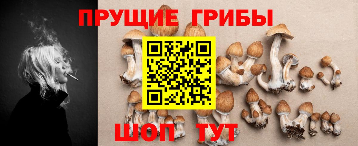 Псилоцибиновые грибы Magic Shrooms  Псилоцибиновые грибы Magic Shrooms  Вход с VPN  Слободской 